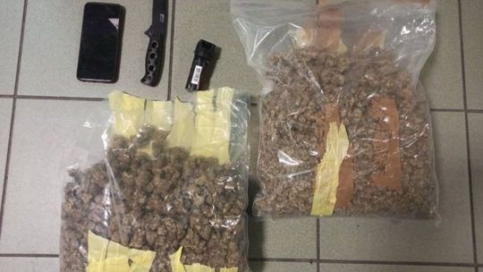 1,5 kg suszu roślinnego - już z niego nie skorzysta