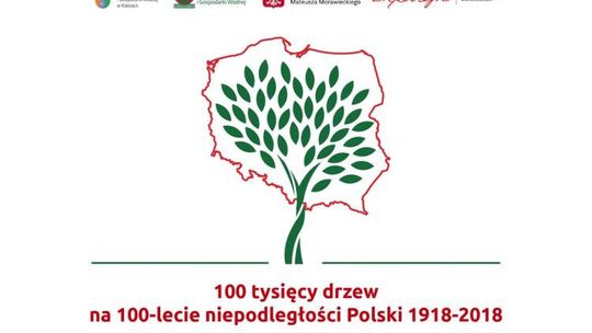 200 drzewek dla starachowiczan 