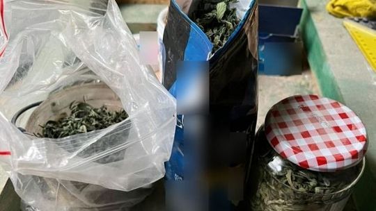 400 g narkotyków przejęli funkcjonariusze z Końskich