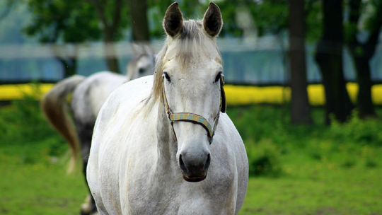 5 pomysłów na spędzenie majówki