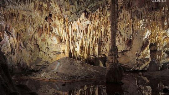 60 lat Jaskini Raj na mapie turystycznej Polski - konferencja pełna ciekawostek
