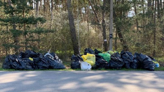 Akcja LAS DLA NAS przeszła nasze najśmielsze oczekiwania