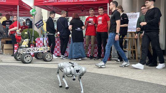 Antidotum na dylematy absolwenta