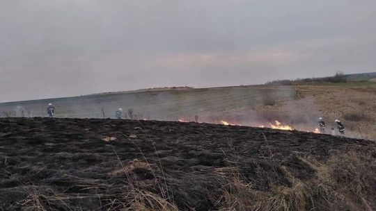 Apel Straży Pożarnej: nie wypalaj traw