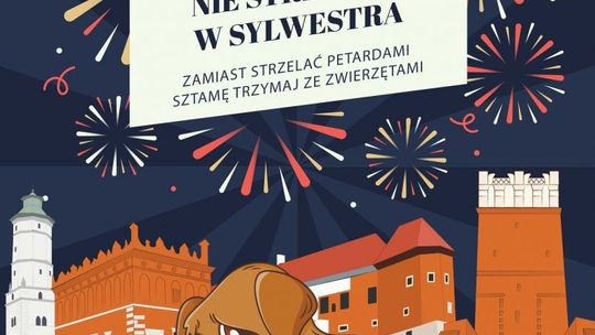 Apele o zakaz używania fajerwerków coraz liczniejsze