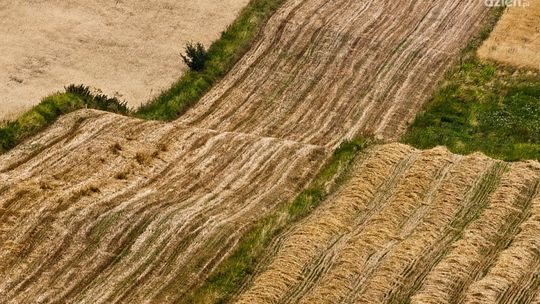 Artysta związany z ostrowieckim fotoklubem stypendystą ministra