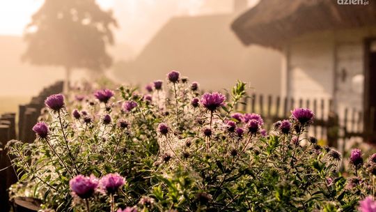 Atrakcyjne nagrody w konkursie fotograficznym o polskiej wsi