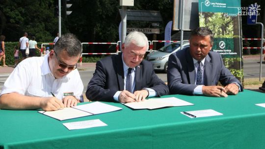 Atuty świętokrzyskich lasów w turystyce