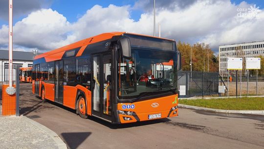 Autobusy ostrowieckiego MZK wróciły na stare trasy. Są też korekty na kilku liniach 