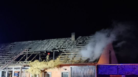 Aż cztery pożary w powiecie ostrowieckim jednego dnia