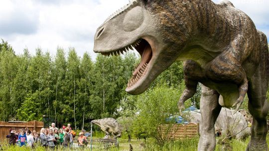 Bałtów - co za promocje!!! Toż to szok!