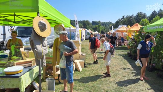 Bałtów miodem płynący Bałtów miodem płynący