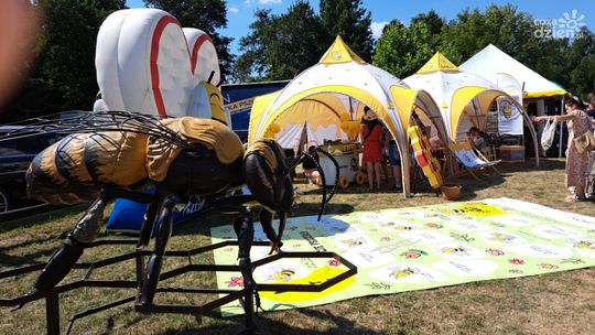 Bałtów miodem płynący 