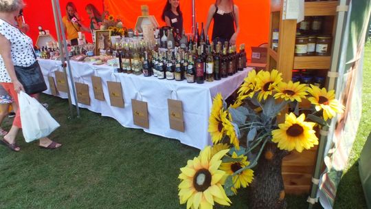 Bałtów miodem płynął 