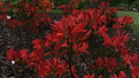 Barwny, pachnący i edukacyjny Dzień Dziecka