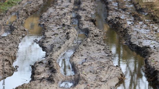Będą odszkodowania za zniszczone deszczem uprawy rolne 
