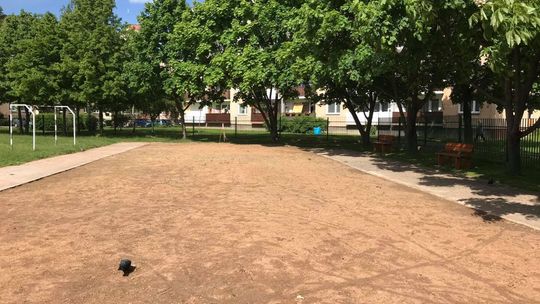 Będzie kolorowo na terenie PSP nr 7 w Ostrowcu Świętokrzyskim