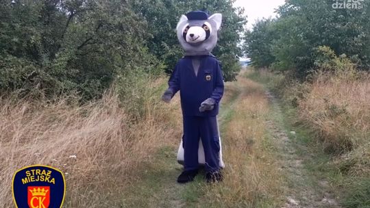 Bezpieczne wakacje ze Strażą Miejską