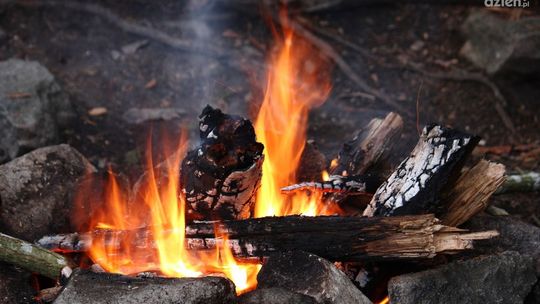 Bezpieczni na obozie harcerskim
