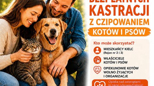 Bezpłatna kastracja i czipowanie zwierząt w Kielcach