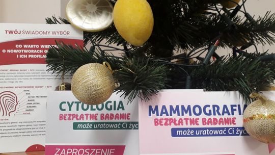 Biała sobota pod choinkę 