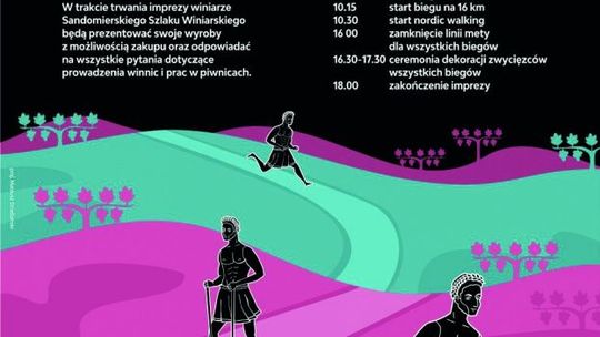 Biegiem przez sandomierskie winnice
