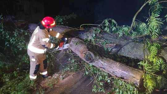 Bilans po burzach w Świętokrzyskiem. Strażacy interweniowali już 227 razy