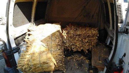 Blisko 200 kilogramów tytoniu w peugeocie 