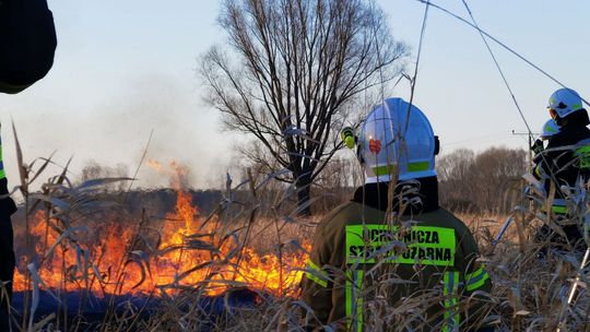 Blisko 800 wyjazdów ostrowieckiej Straży Pożarnej