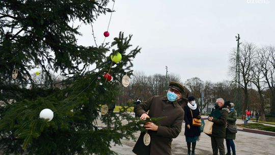 Błonia jasnogórskie już zdobi choinka od ostrowieckich leśników