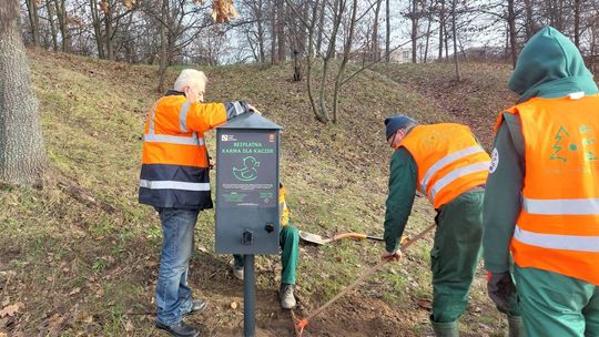 „Bufet” dla kaczek na Zalewem Kieleckim