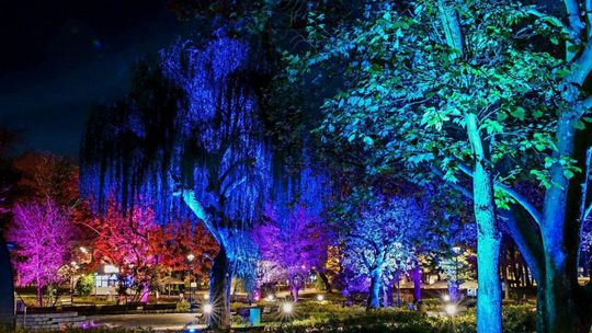 Buski Park Zdrojowy zachwyca!