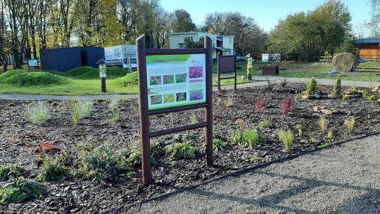 Centrum Autyzmu w Niemienicach ciągle pięknieje