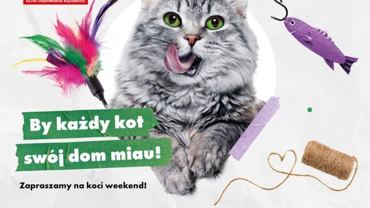 Charytatywny Koci Weekend w Galerii Echo