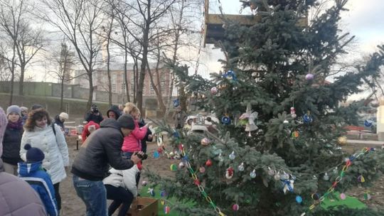 Choinka w Częstocicach 
