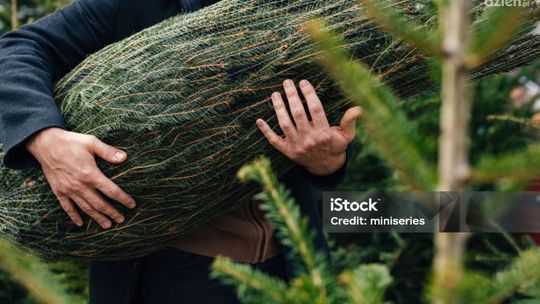 Choinka za elektrośmieci