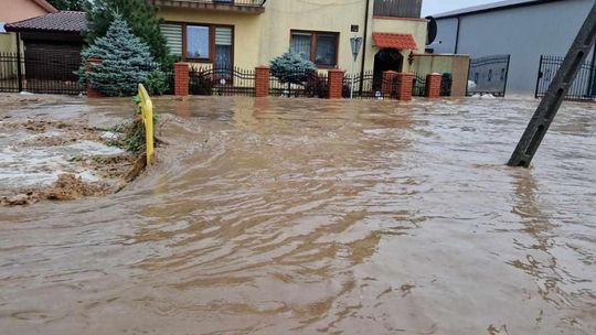 Ćmielów i Ostrowiec najbardziej dotknięte nawałnicą 