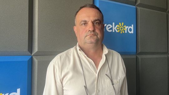 Co słychać w lesie?