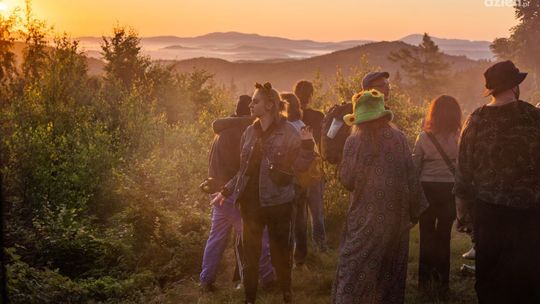 Co to jest LAS Festival?