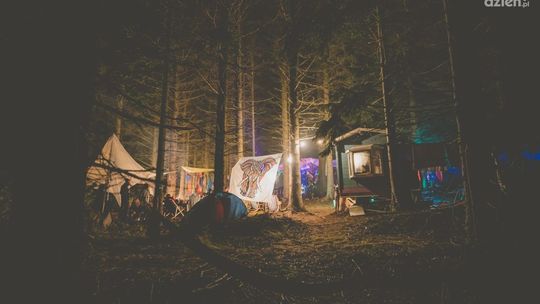 Co to jest LAS Festival? – Leśna Odyseja Dźwięków