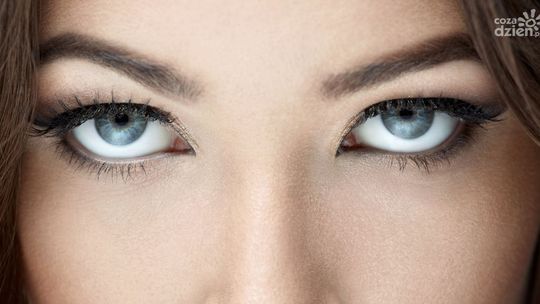 Co to jest przetwarzanie wzrokowe?