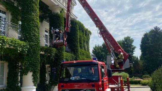 Ćwiczenia na obiekcie Dwór Dwikozy Hotel Sandomierz