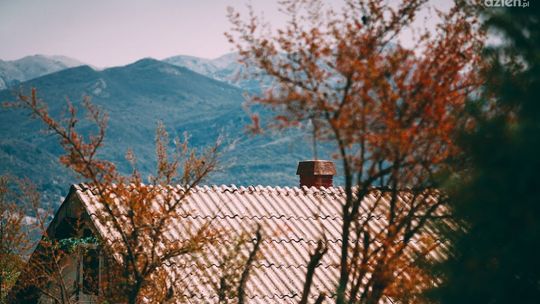 "Czujka na straży Twojego bezpieczeństwa!" Ważna kampania społeczna