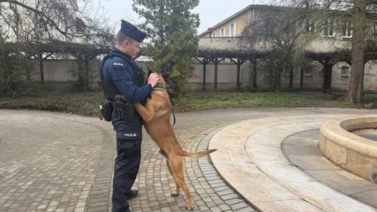 Czworonożni funkcjonariusze z Ostrowca Świętokrzyskiego. Niezastąpieni w służbie Policji