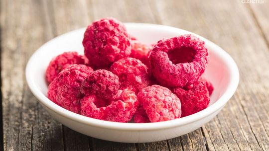 Czym są liofilizatory i jak możesz z nich korzystać?