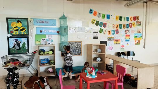 Daj drugie życie zabawkom i spraw radość dzieciom z Ukrainy 