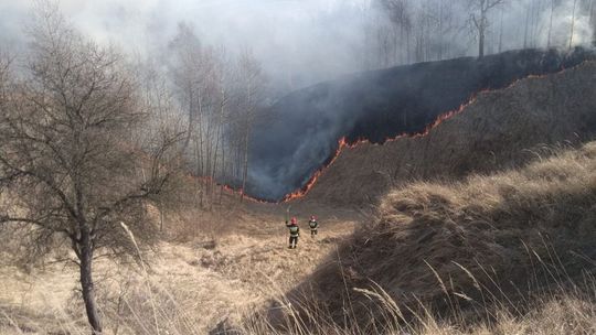 Dalej podpalają trawy. Za nic mają sytuację w kraju Dalej podpalają trawy. Za nic mają sytuację w kraju