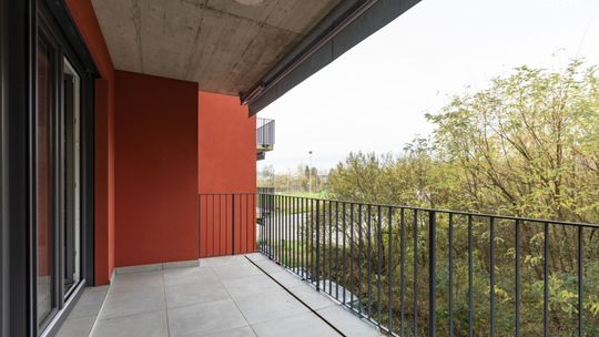 Dlaczego warto zainwestować w osłonę balustrady? 