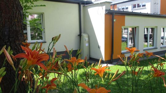 Dlaczego warto zatrzymywać deszcz? Teoria i praktyka dla uczniów