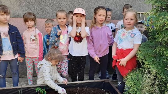 Dni Adaptacyjne w ostrowieckim przedszkolu nr 19